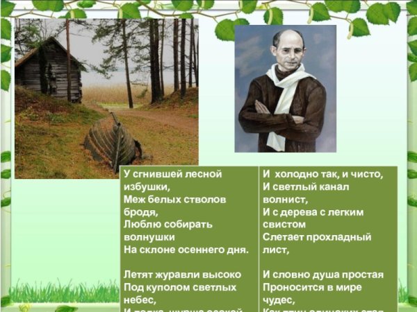 У сгнившей Лесной избушки рубцов