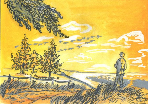 Природа Есенина зарисовки