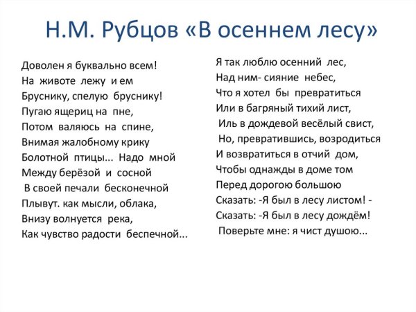 Стихотворение н м Рубцова в осеннем лесу