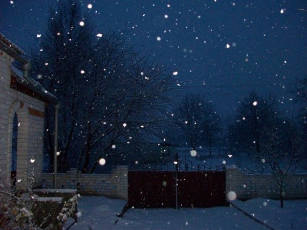 Падающий снег ночью