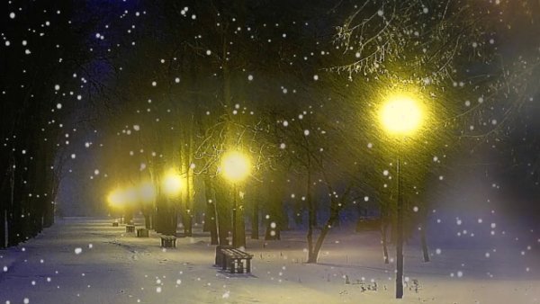 Зимний город