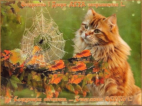 Тёплая осень