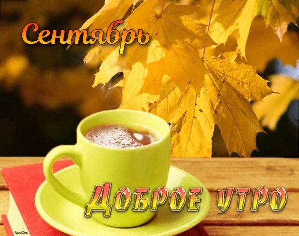 Доброе осеннее утро