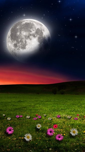Природа ночь Луна звезды