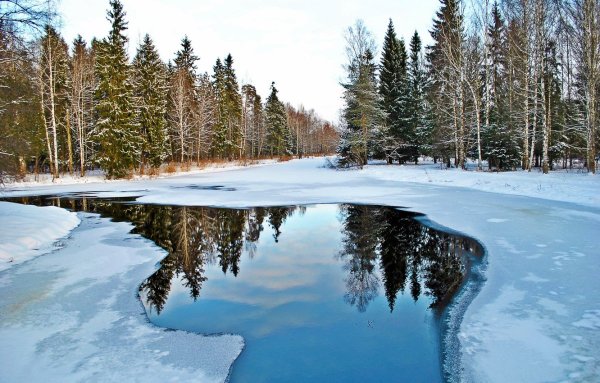 Река в лесу зимой