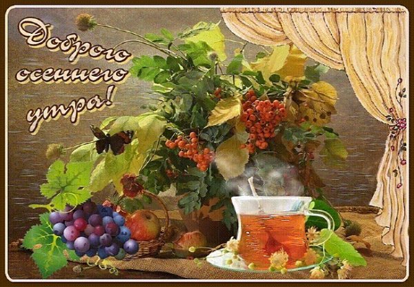 Доброе осеннее утро здоровья вам