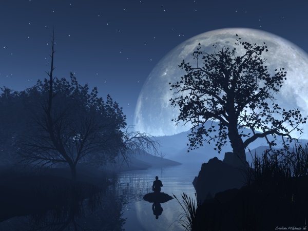 Ночная тишина