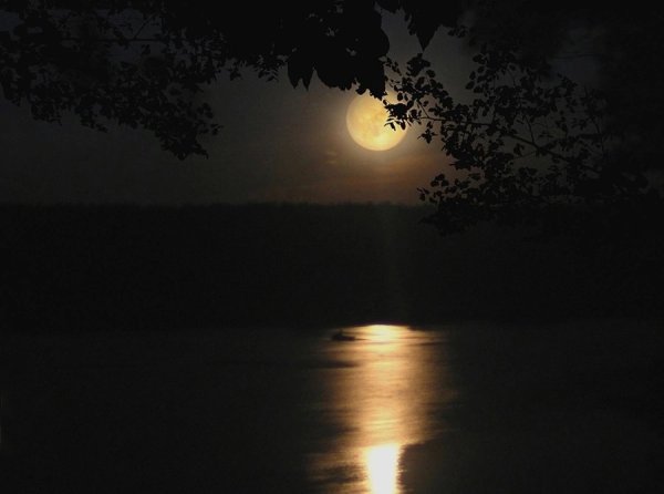 Ночная тишь