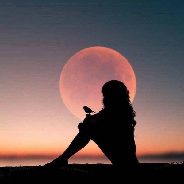 Девочка на Луне