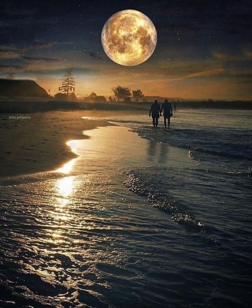 Ночное море