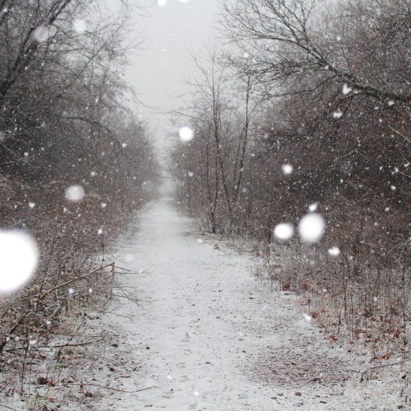 Дождь зимой