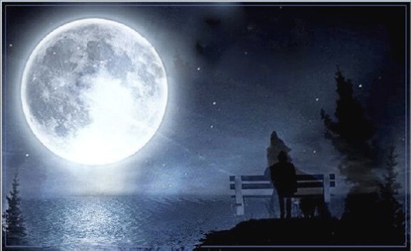 Стихи под луной