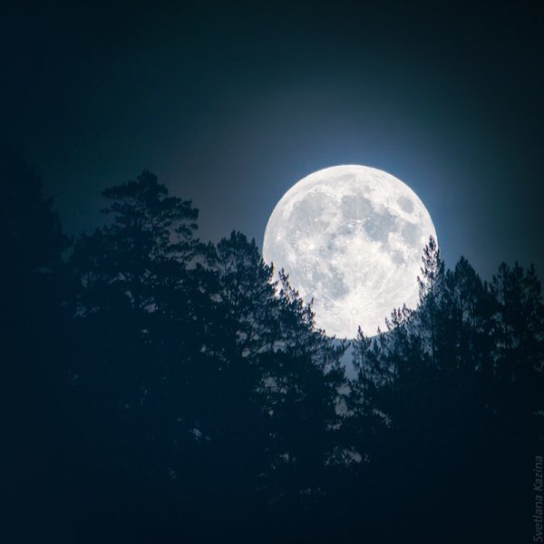 Ночь Луна