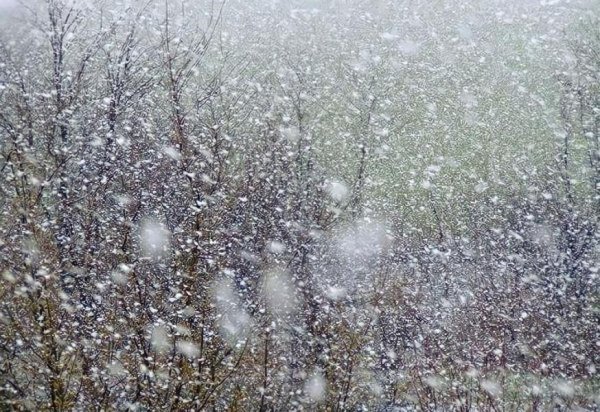 Снегопад весной