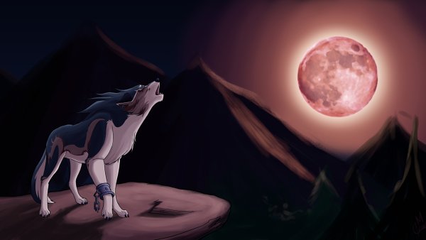 Лунная волчица