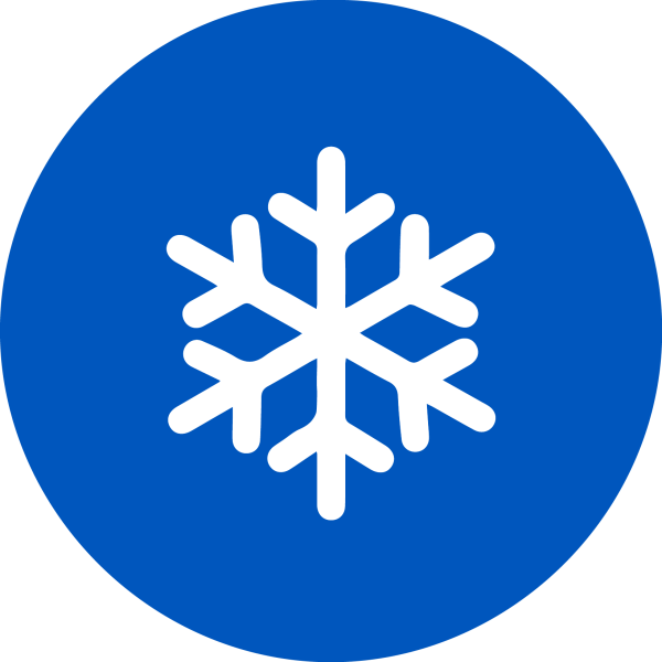 Зимние значки