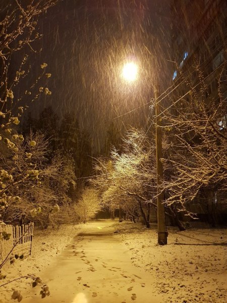 Снегопад ночью