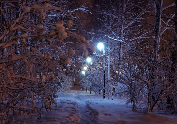 Фонарь в зимнем лесу