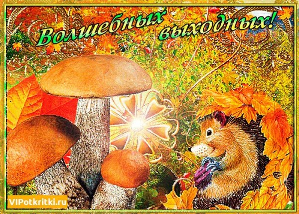 Прекрасных осенних выходных