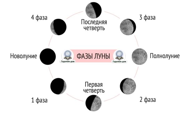 Фазы Луны в картинках 4 фазы