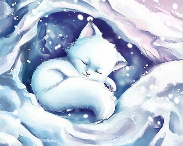 Милые зимние котики