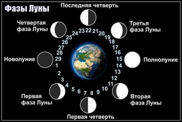 Четыре фазы Луны