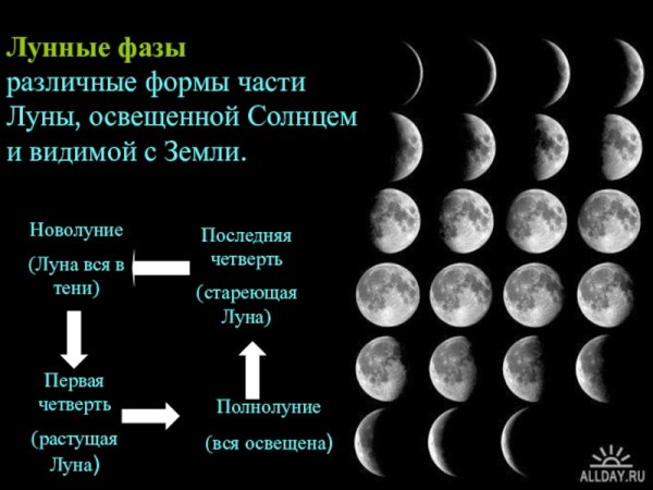 Фазы Луны новолуние растущая Луна полнолуние убывающая Луна