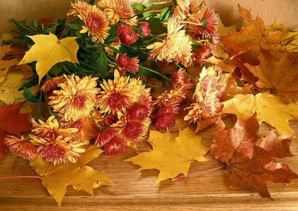 Красивые осенние букеты цветов