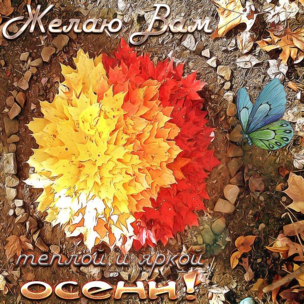 Хорошего осеннего дня