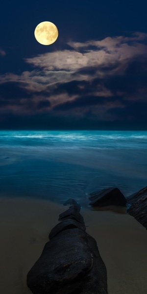 Ночное море