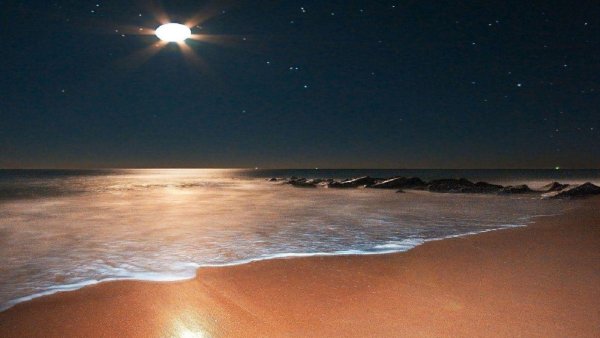 Ночное море пляж