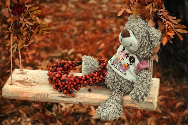 Мишка осень