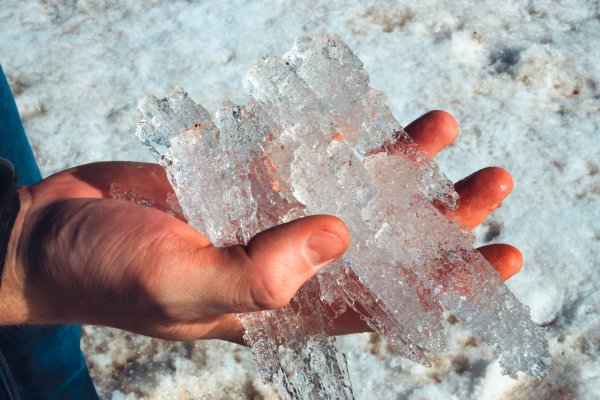 Дети на льду