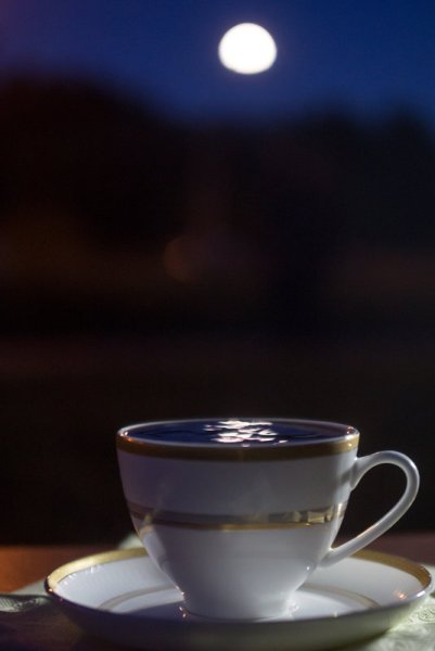 Ночное чаепитие