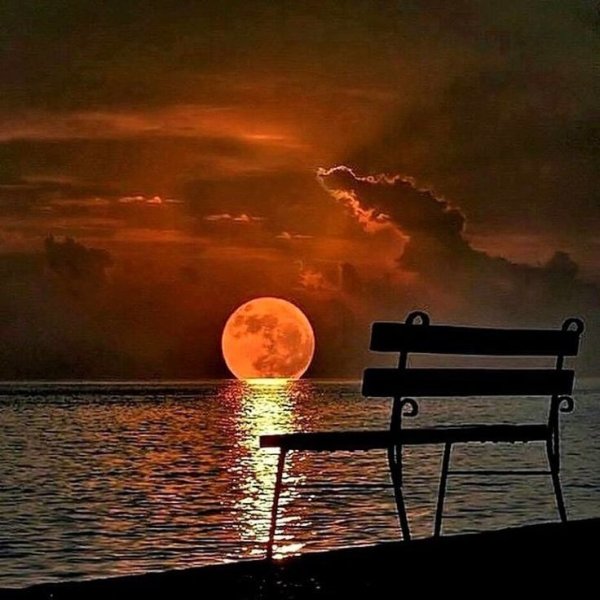 Сидела рядом тишина и понимающе молчала и ничего не