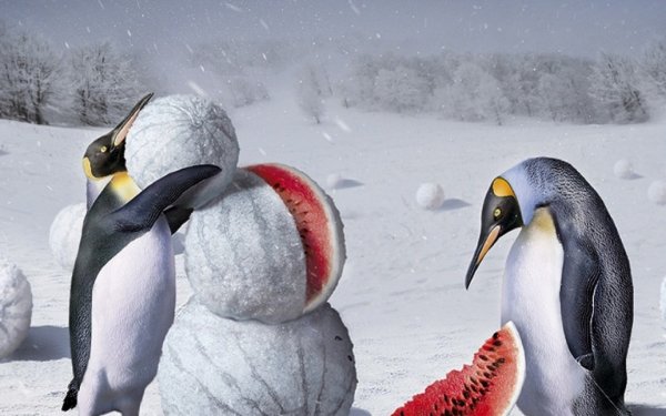 Пингвин и Снеговик