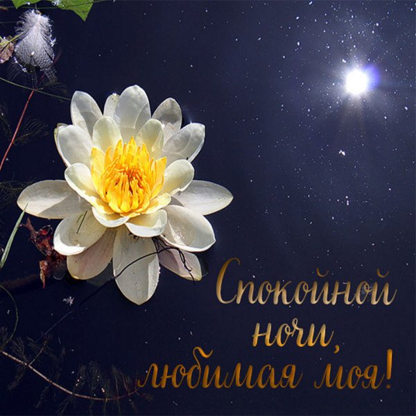 Открытки спокойной ночи осенние с пожеланиями