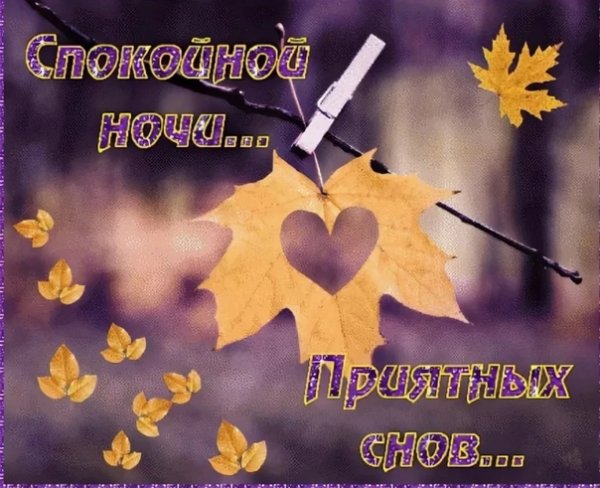 Спокойной ночи осень