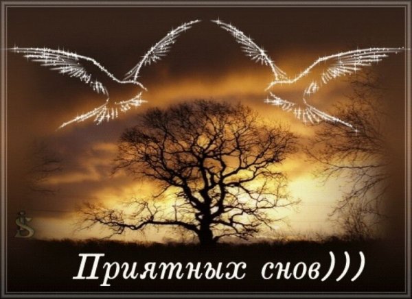 Доброй осенней ночи приятных снов красивые