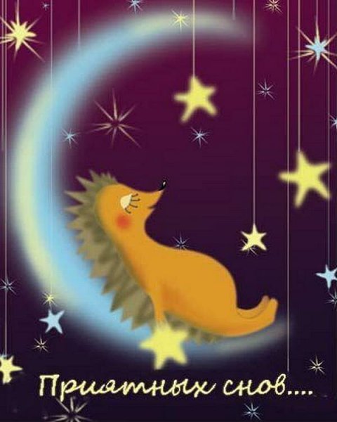 Доброй ночи с ежиком