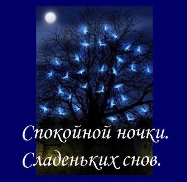 Спокойной тихой ночи