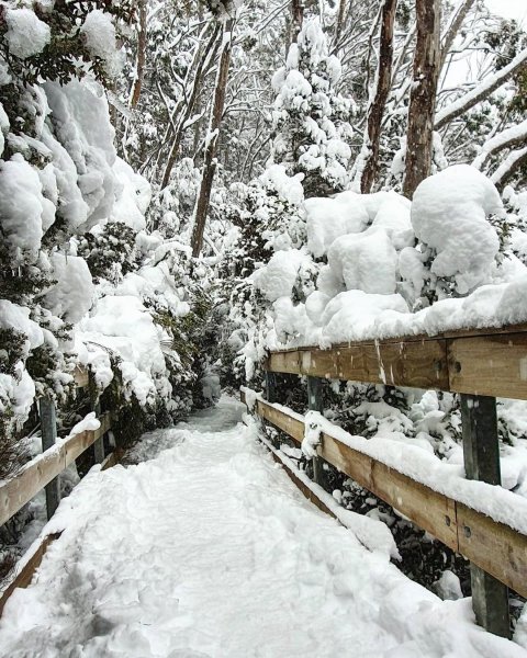 Сугробы зимой