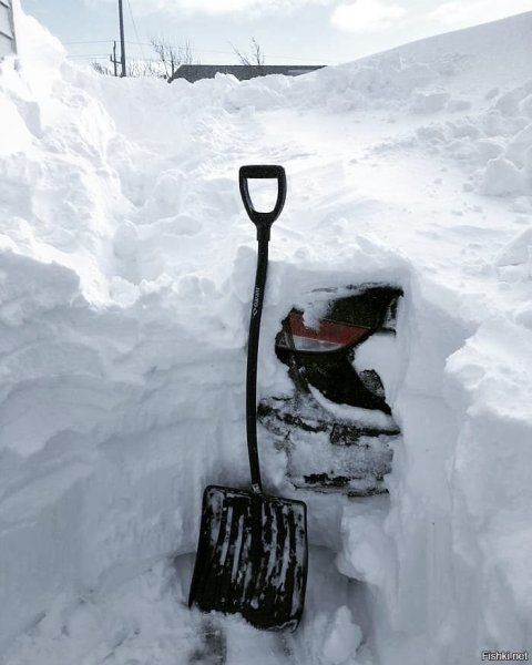 Канада много снега