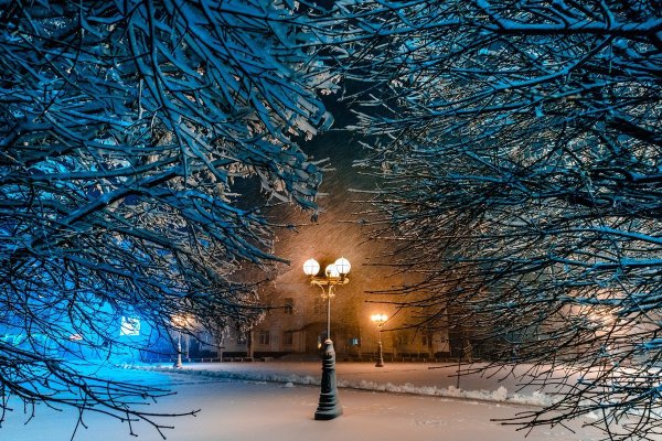 Зима в городе