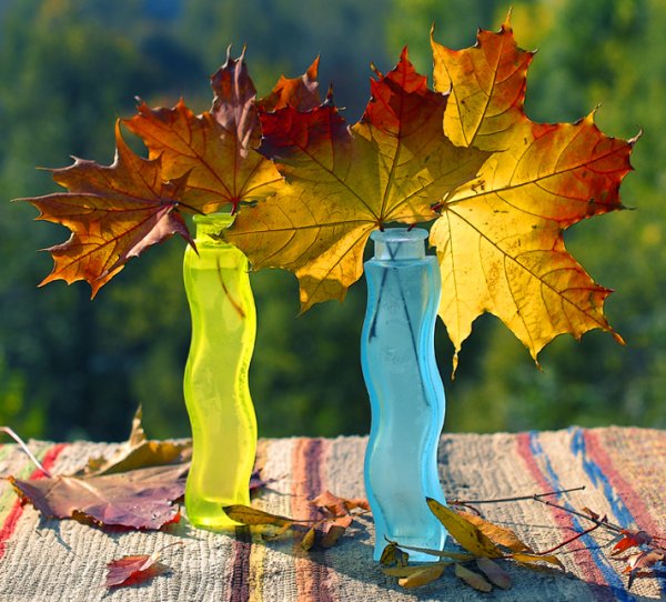 Позитивная осень