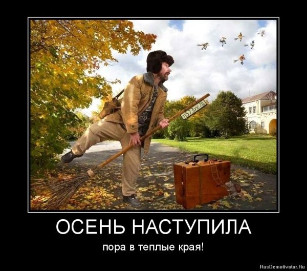 Осенние шутки и приколы