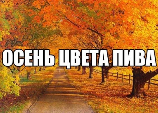 Приколы про октябрь