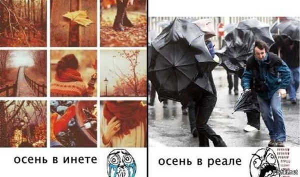 Осенняя хандра приколы