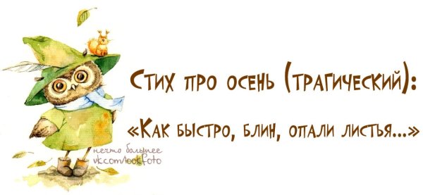 Веселые цитаты про осень