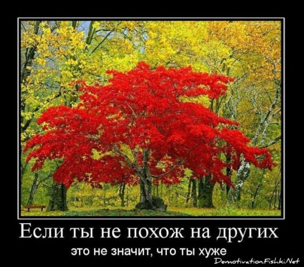 Осенние приколы